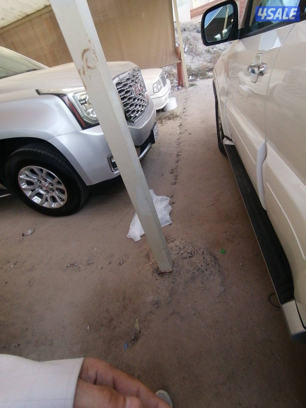 باجيرو ابيض صبغ الوكاله 20183