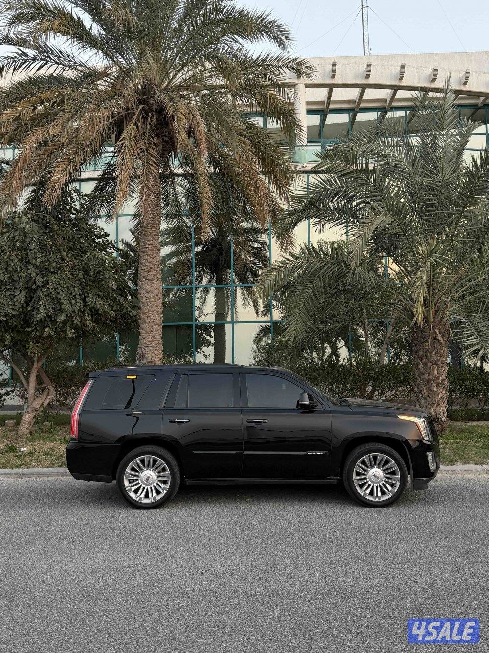 للبيع اسكاليد 20163