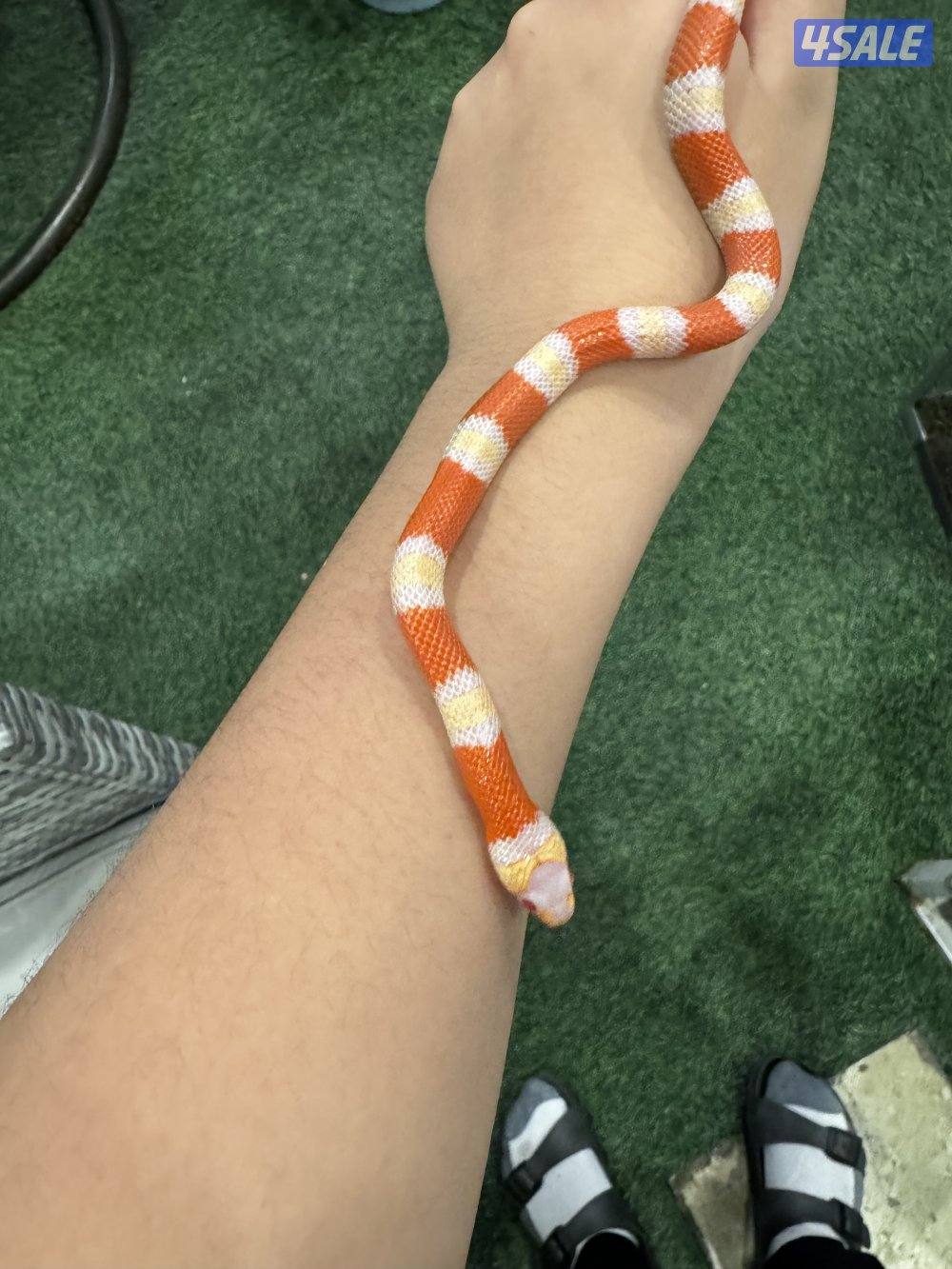 اقرا الوصف0