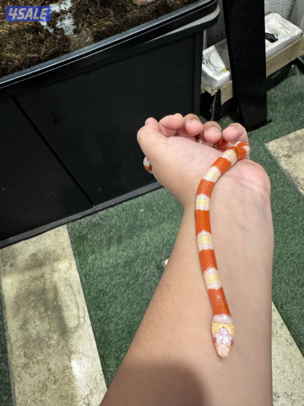 اقرا الوصف2