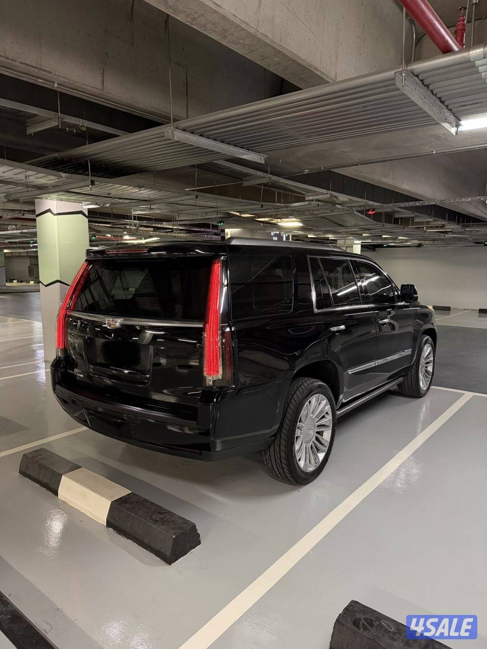 اسكاليد بلاتينيوم1