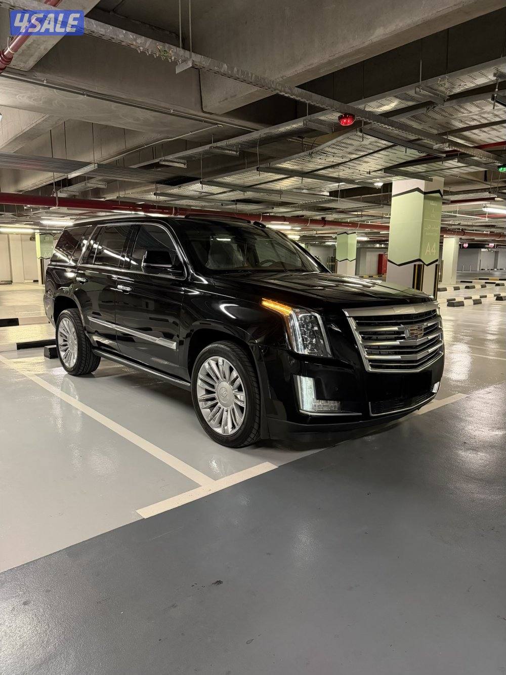 اسكاليد بلاتينيوم2