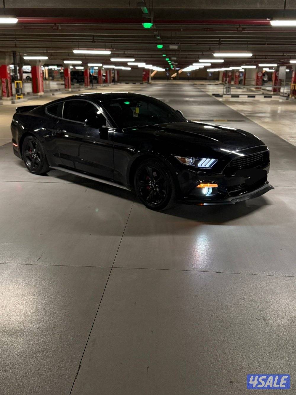 موستنق 2017 ( ماشي 127)4