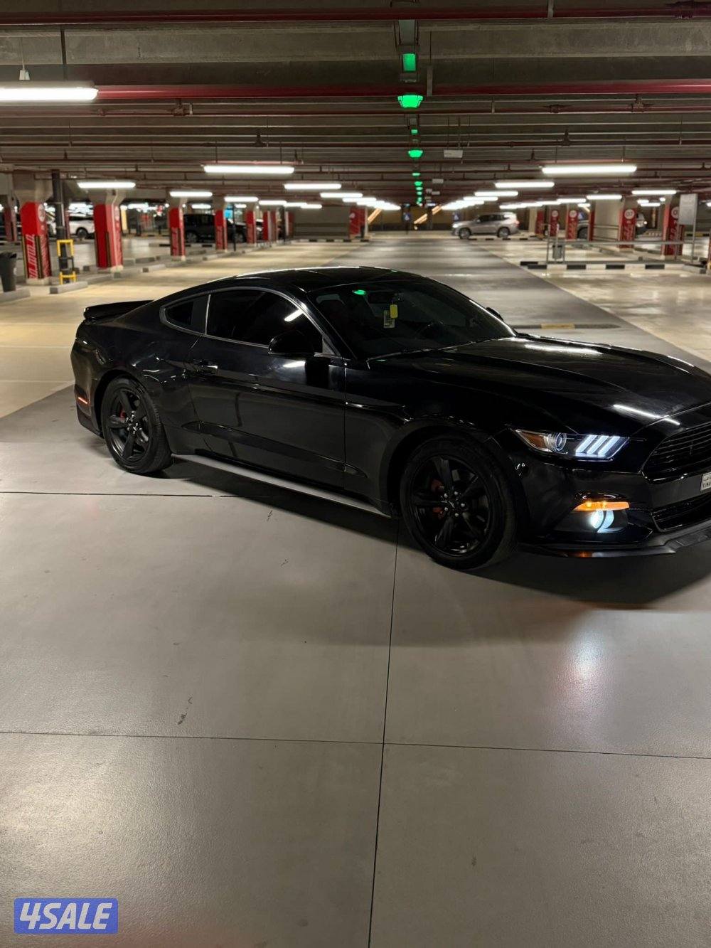 موستنق 2017 ( ماشي 127)9