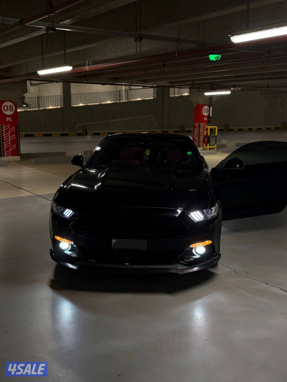 موستنق 2017 ( ماشي 127)8