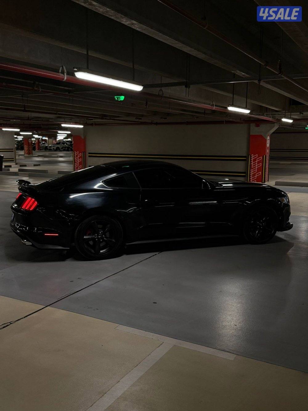 موستنق 2017 ( ماشي 127)10