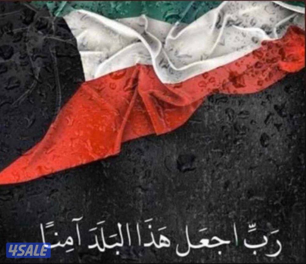 شاب يمني ابحث عن عمل0