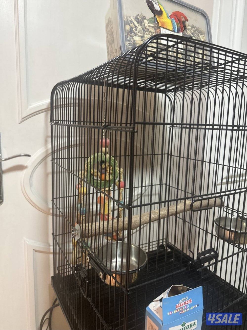 قفص طير جديد مع الأكل و لعبه طير1