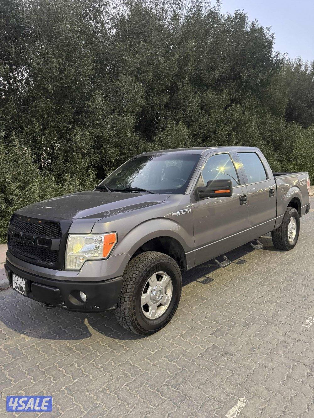 وانيت فورد F150 موديل 2011 دبل1