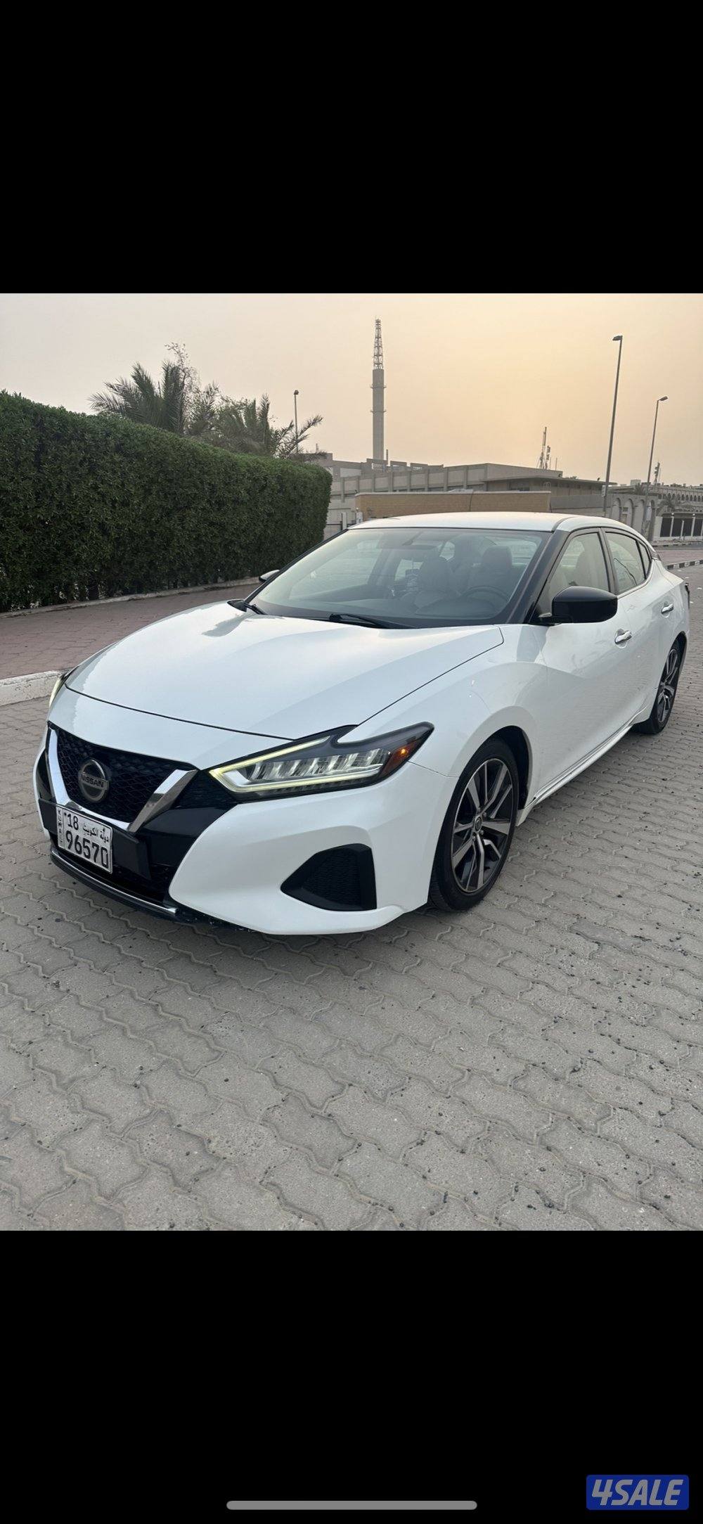 مكسيما ٢٠١٩ بحالة ممتازة4