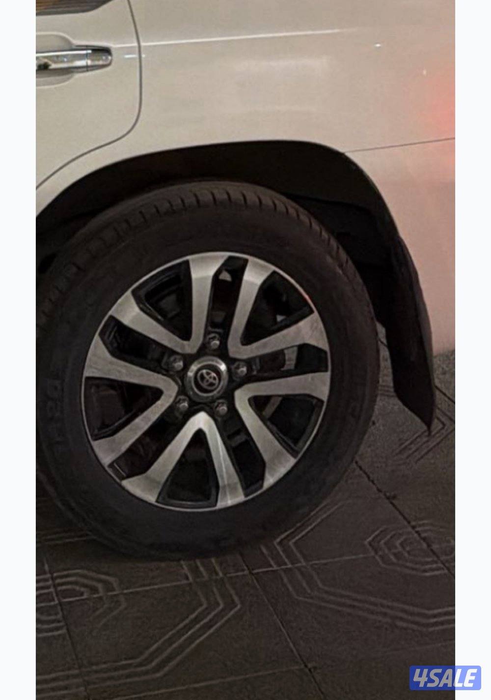 رنقات لاند ٢٠١٩1