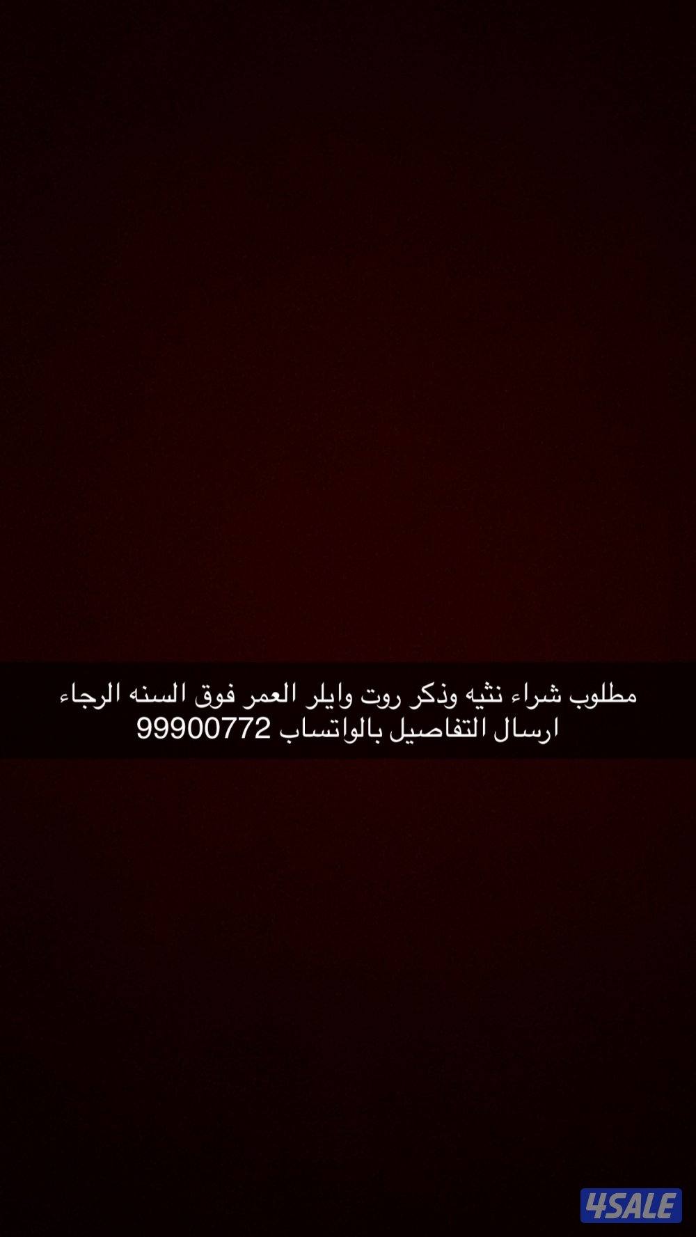 مطلوب روت ولر ذكر ونثيه بسعر مناسب كبار بالعمر سنه وفوق1