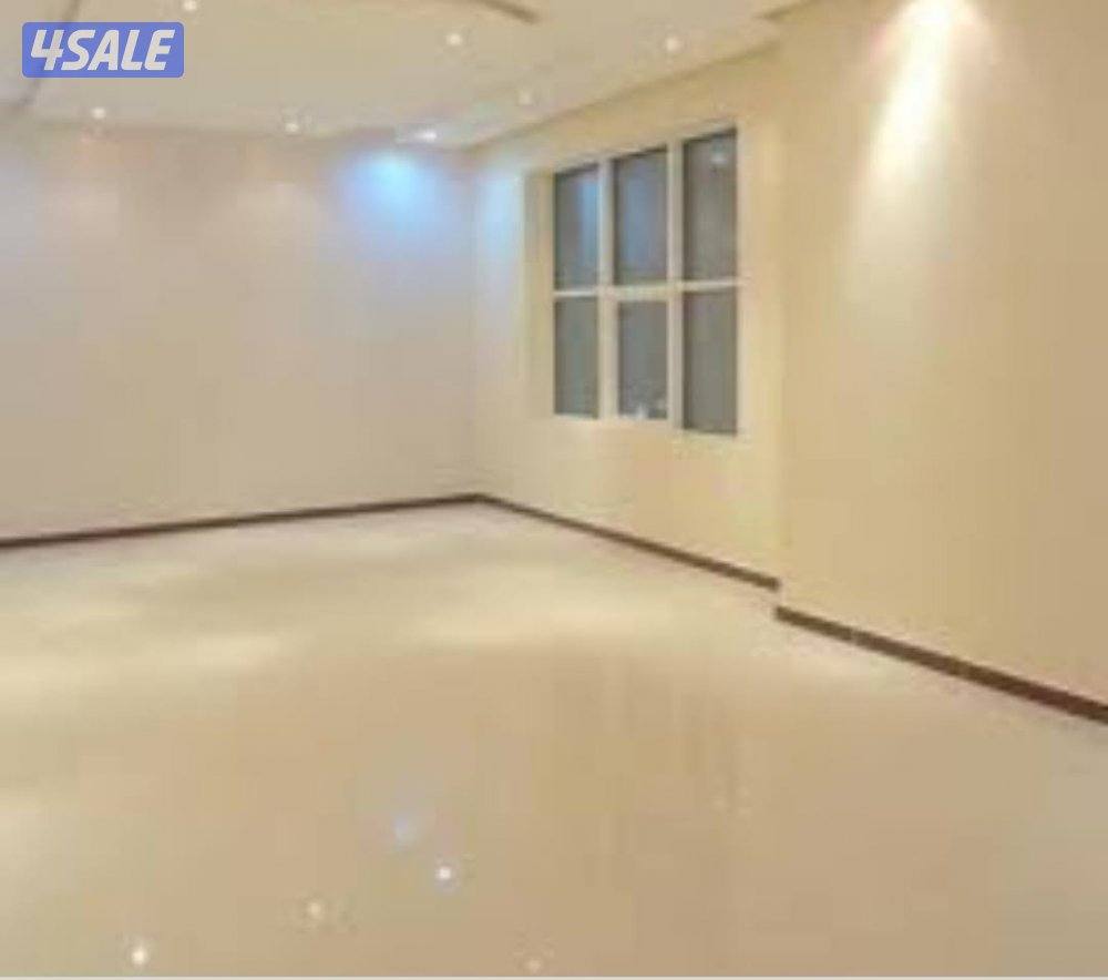 اصباغ  جميع انواع دهان3