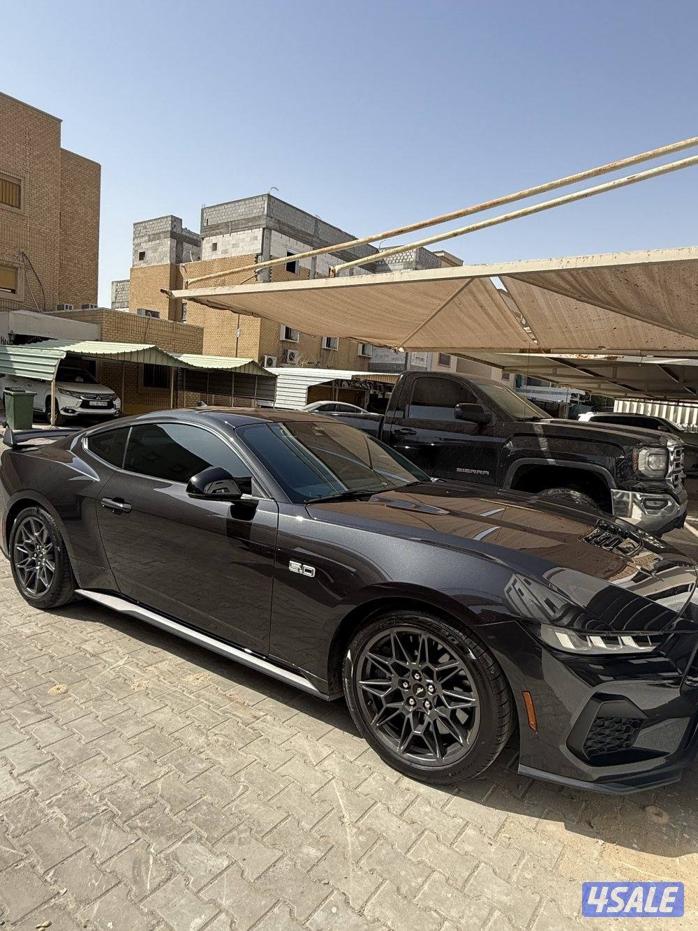 موستنق 2024 GT0