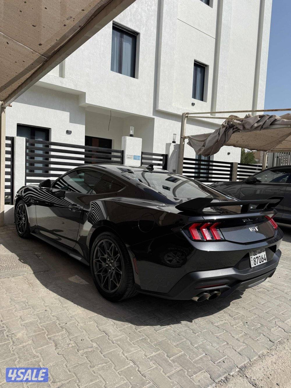 موستنق 2024 GT2