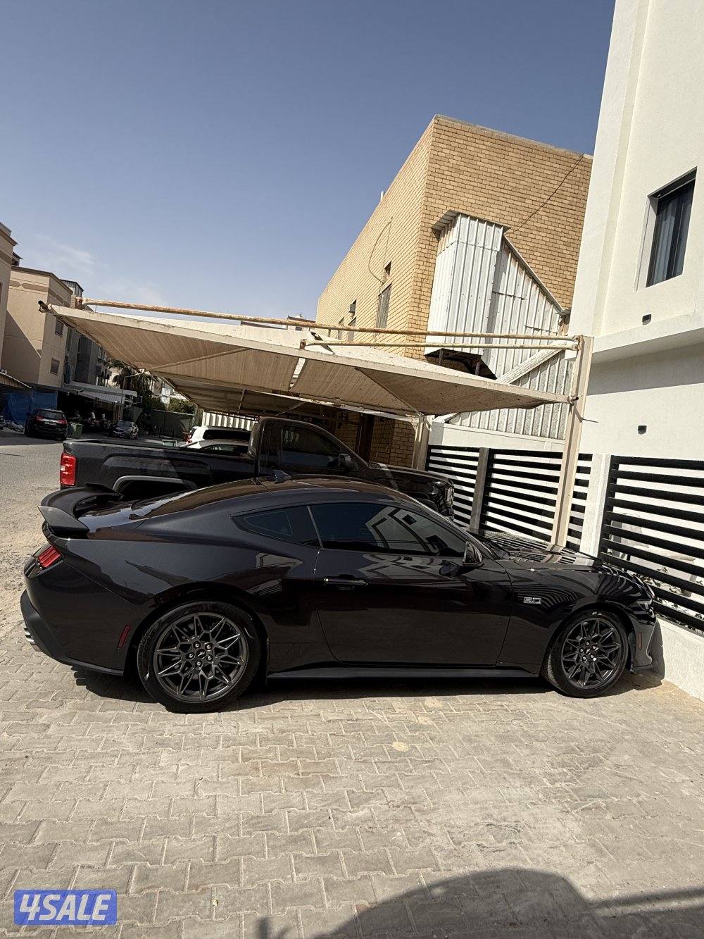 موستنق 2024 GT3