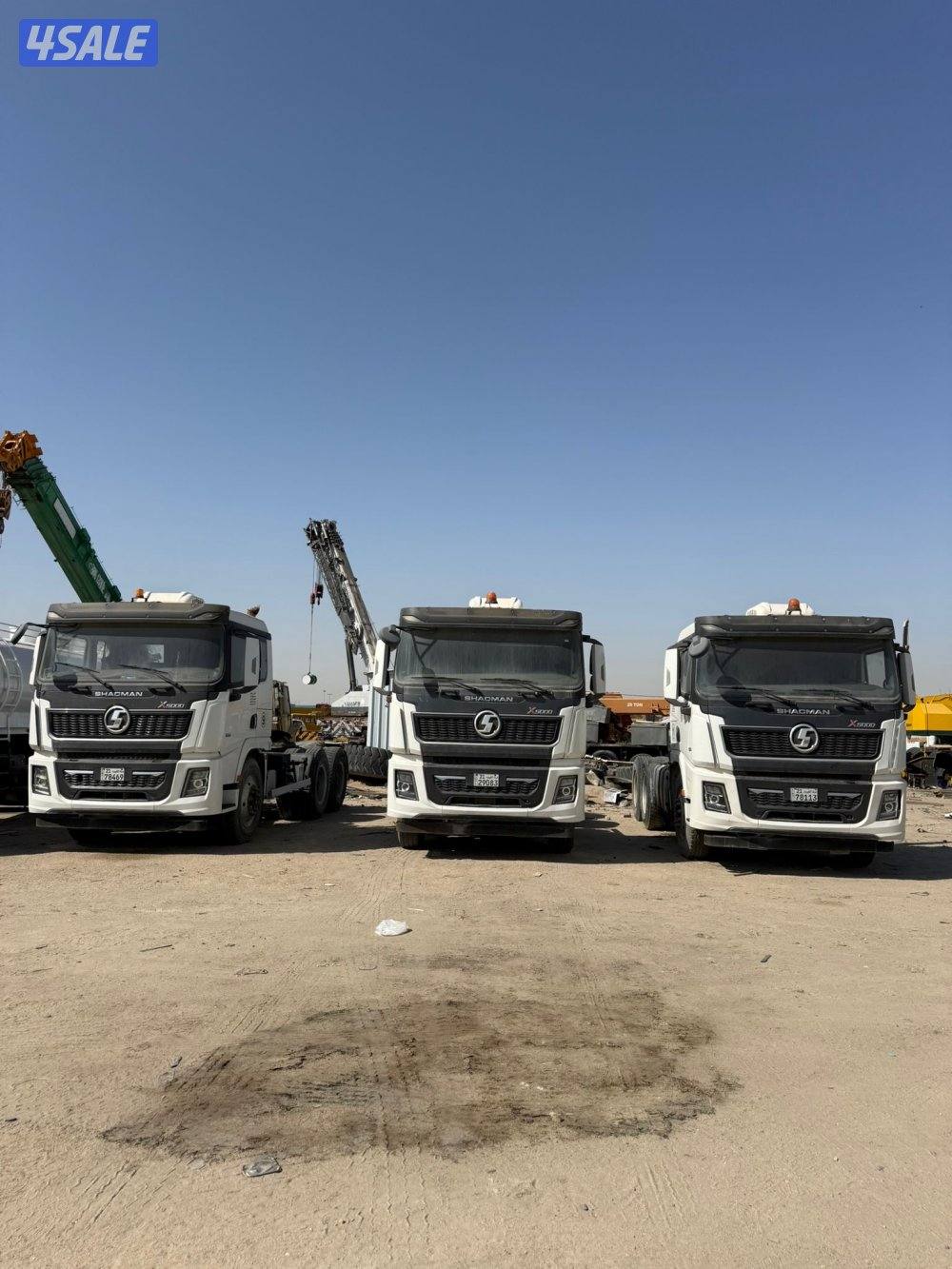 روس سكسات شاكمان0