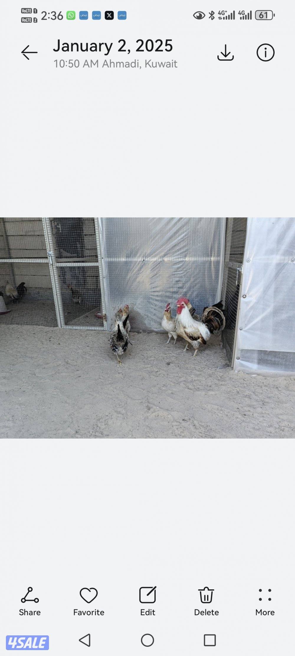 ١٠ وديج الترثه القديمه2