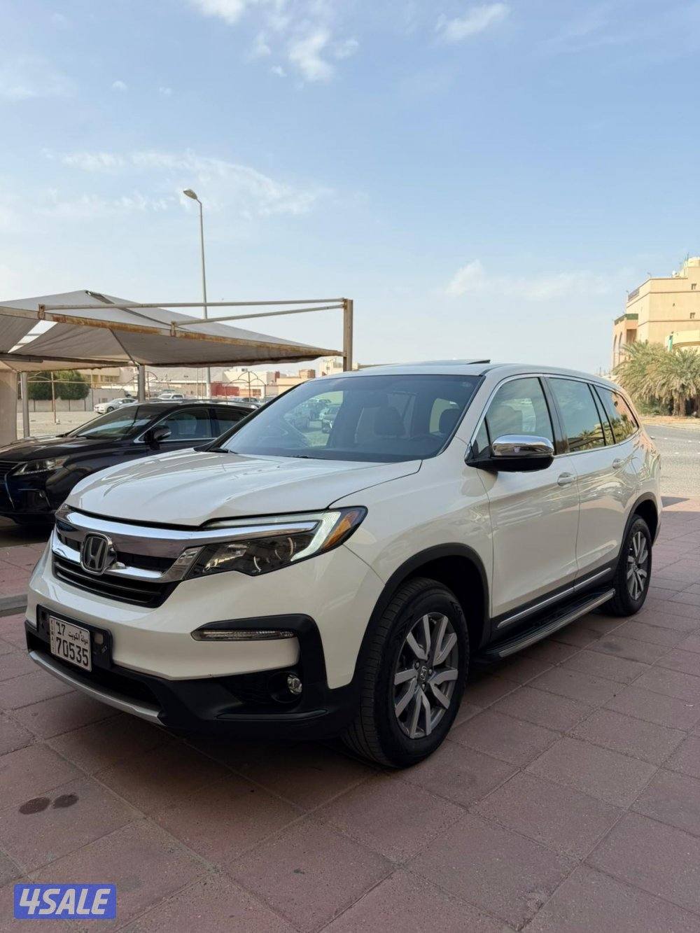 الدرجه الاولى 20191