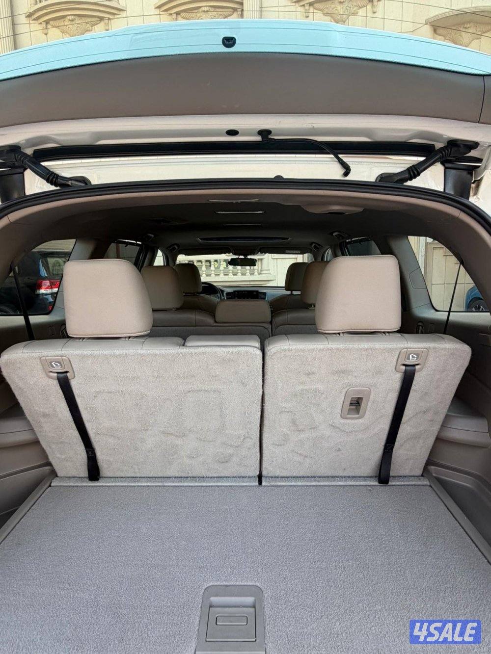 الدرجه الاولى 20194