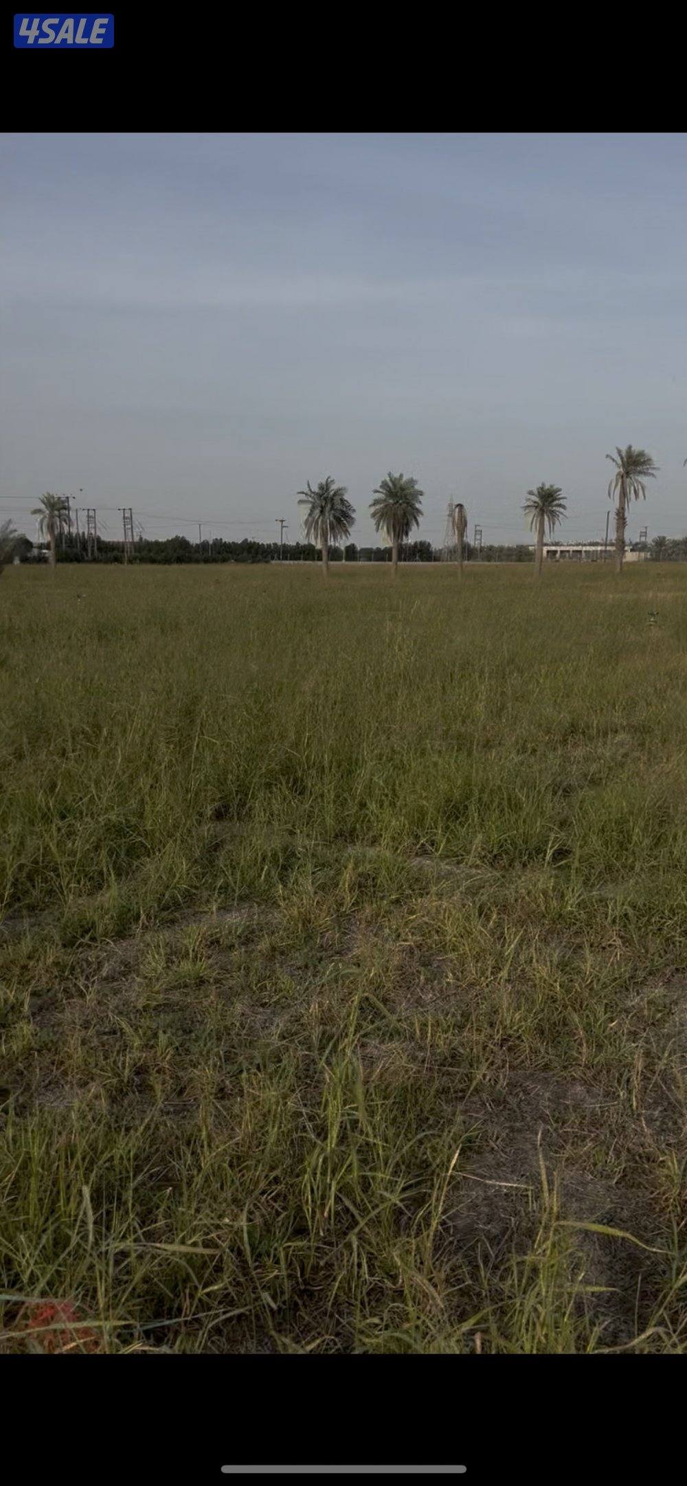 للايجار شهري6