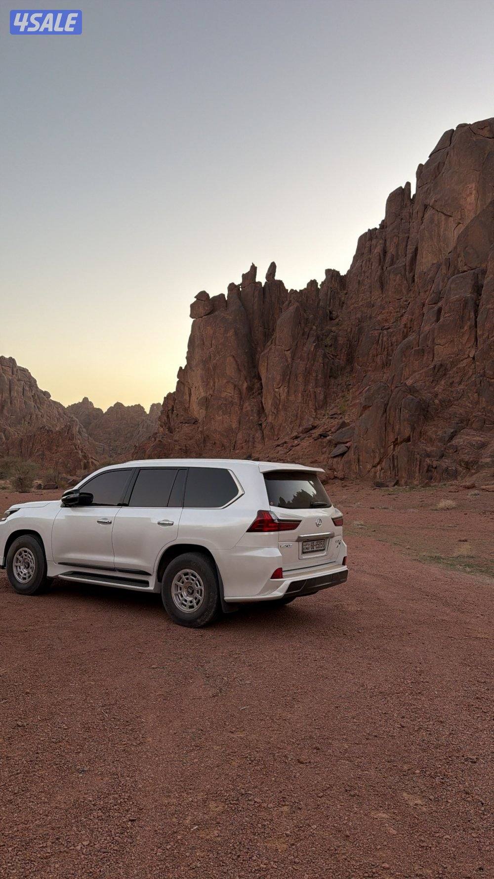 4 رنقات برايد مع 4 شواهين1