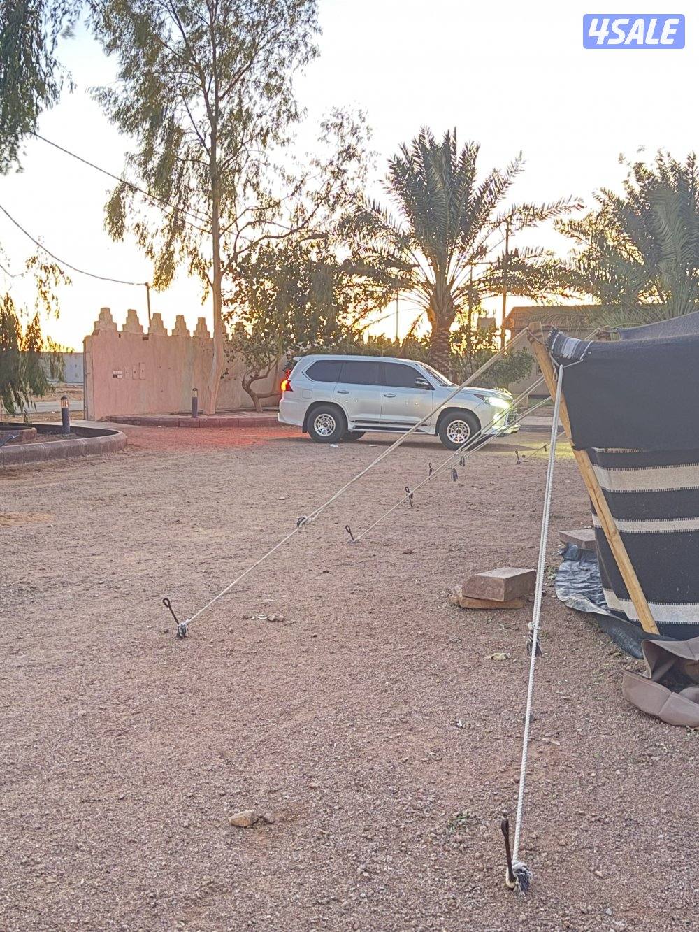 4 رنقات برايد مع 4 شواهين3