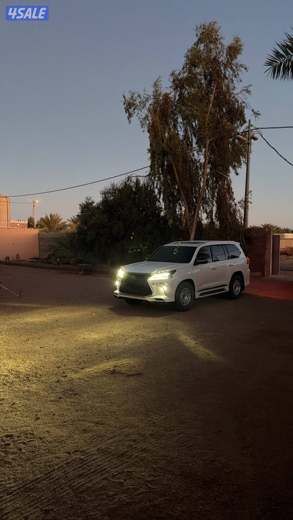 4 رنقات برايد مع 4 شواهين4