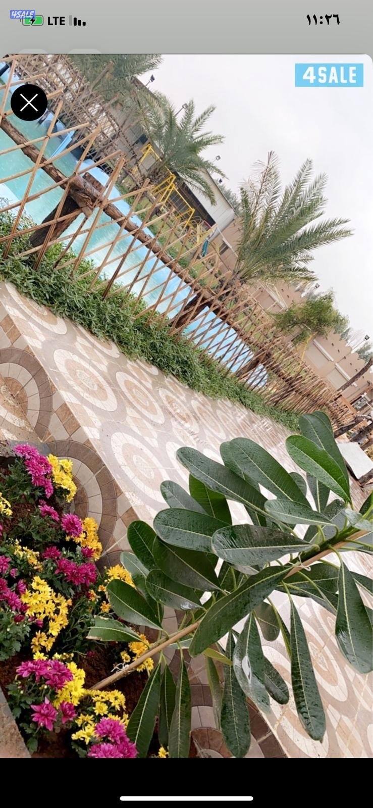 مزرعة للايجار اليوم0