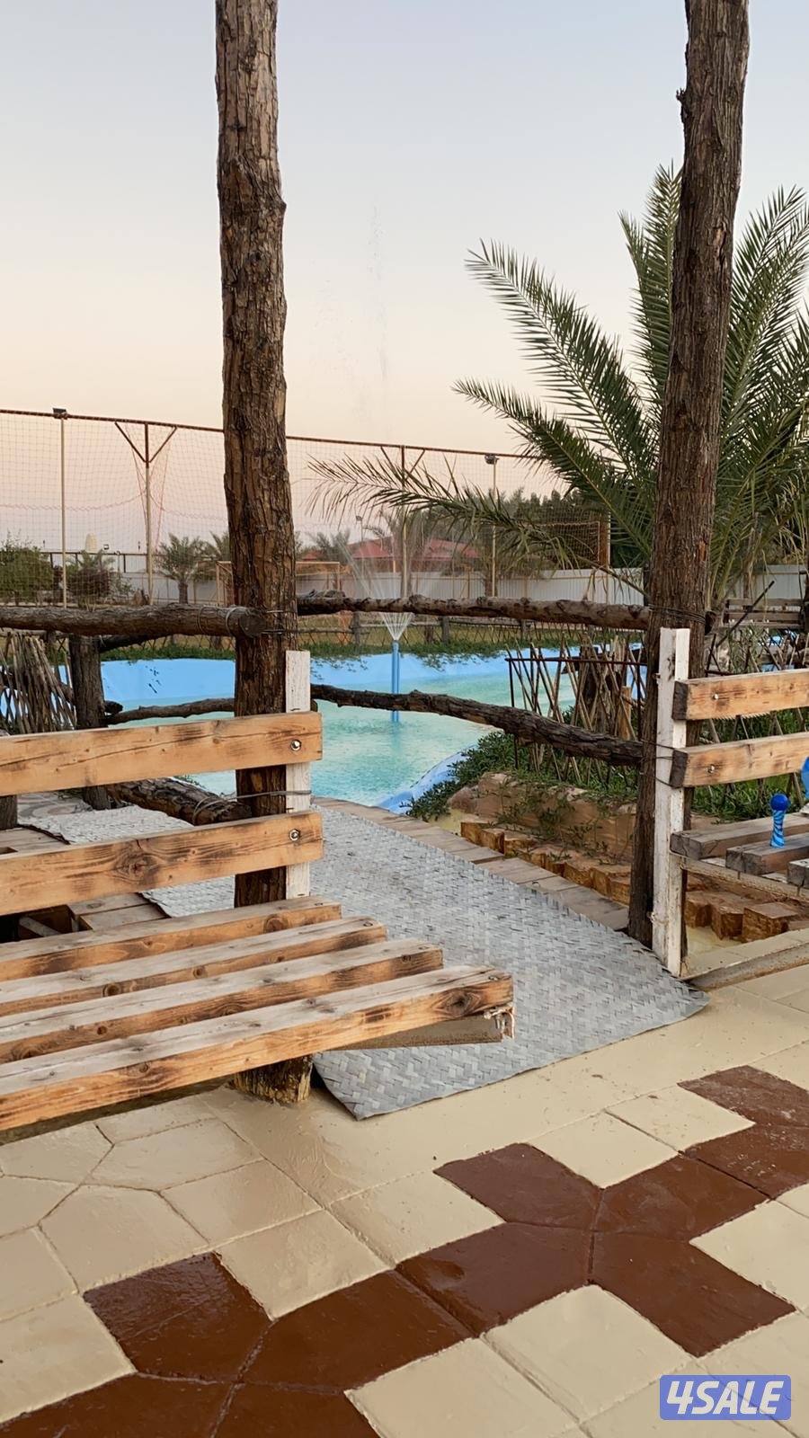 مزرعة للايجار اليوم5