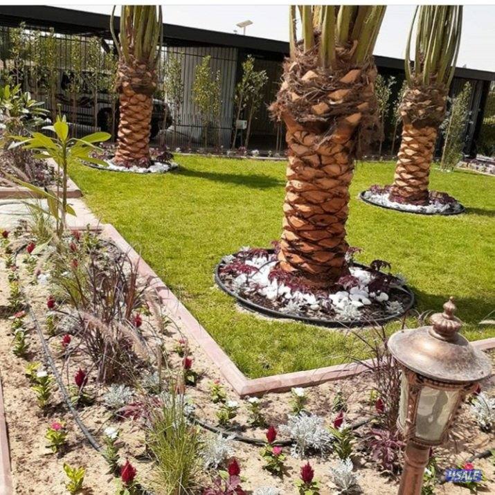 زراعة وتنسيق حدائق13