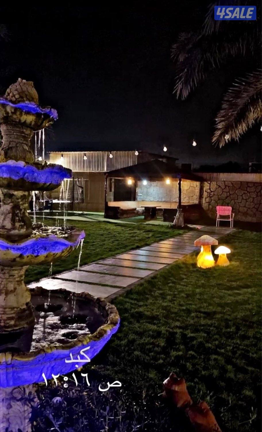 اجار يومي + أسبوعي14