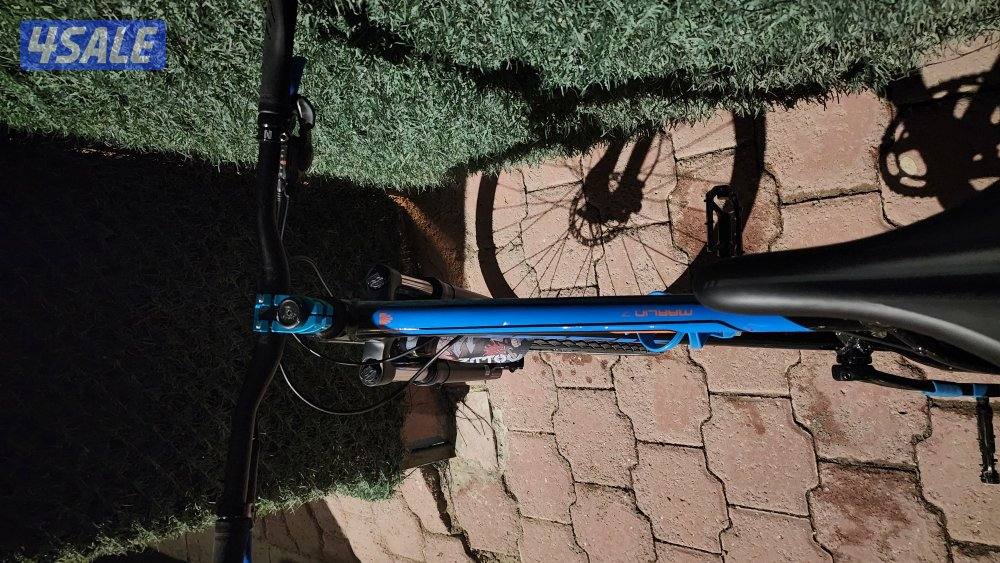 Trek Marlin 7. cycle for sale in excellent condition6