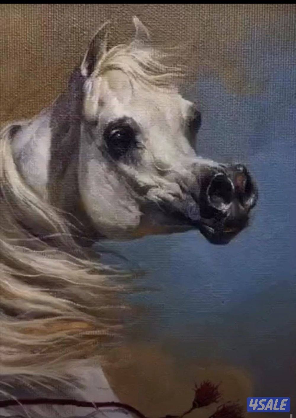 مطلوب مزرعة خيل في الوفره مدة طويلة فيها بناجر و بواديك للاجار0