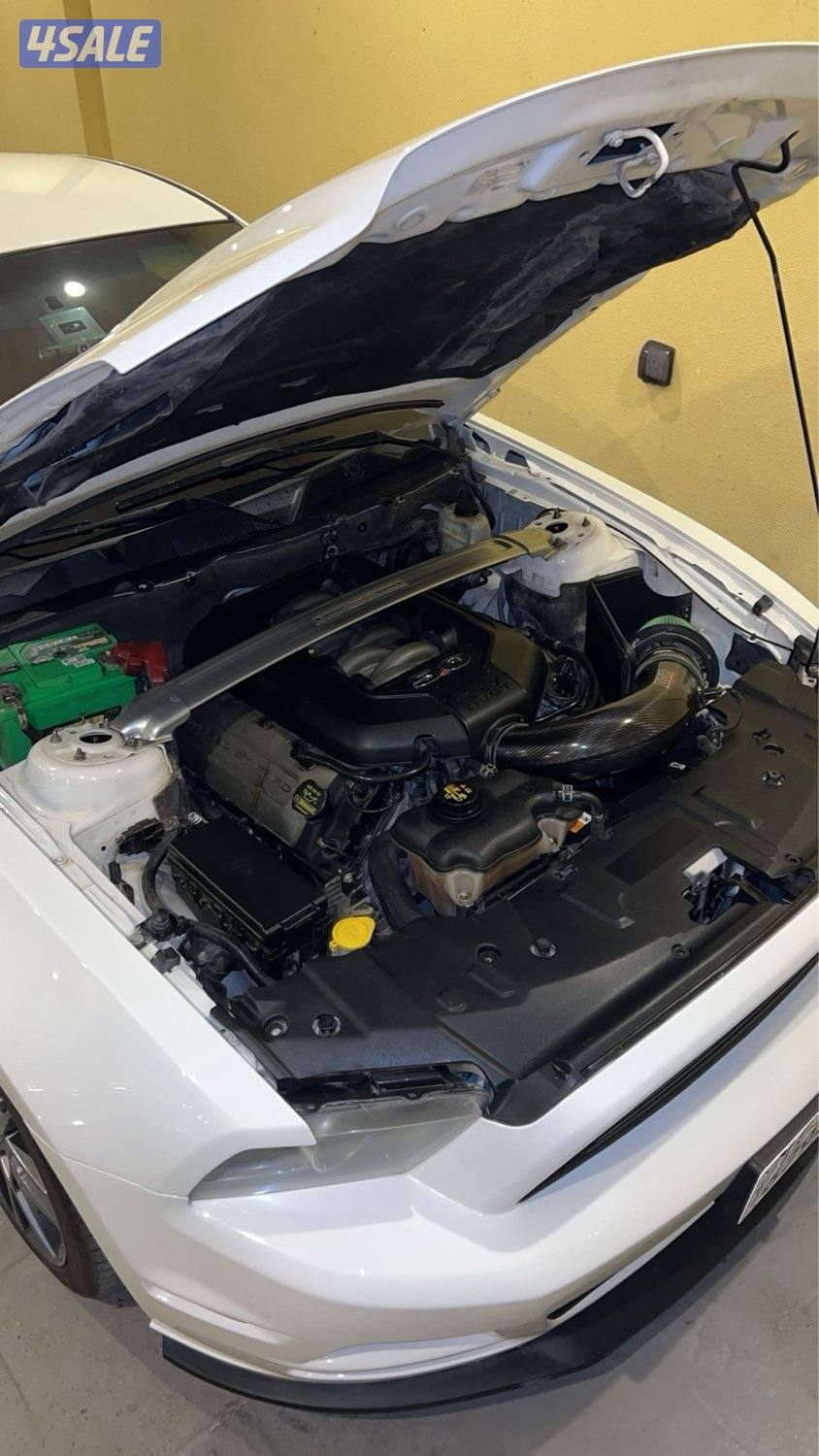 موستنج بريميوم3