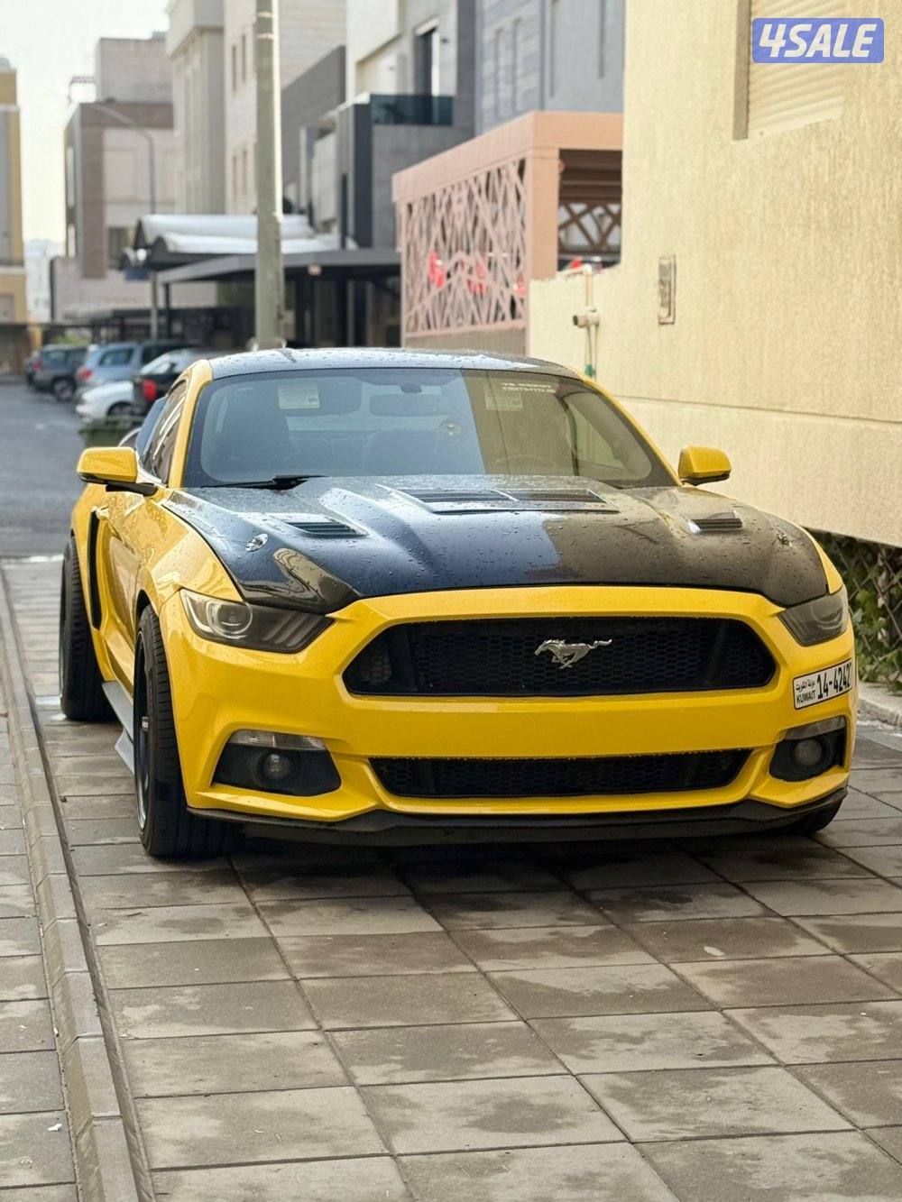 موستنق Premium 5.00