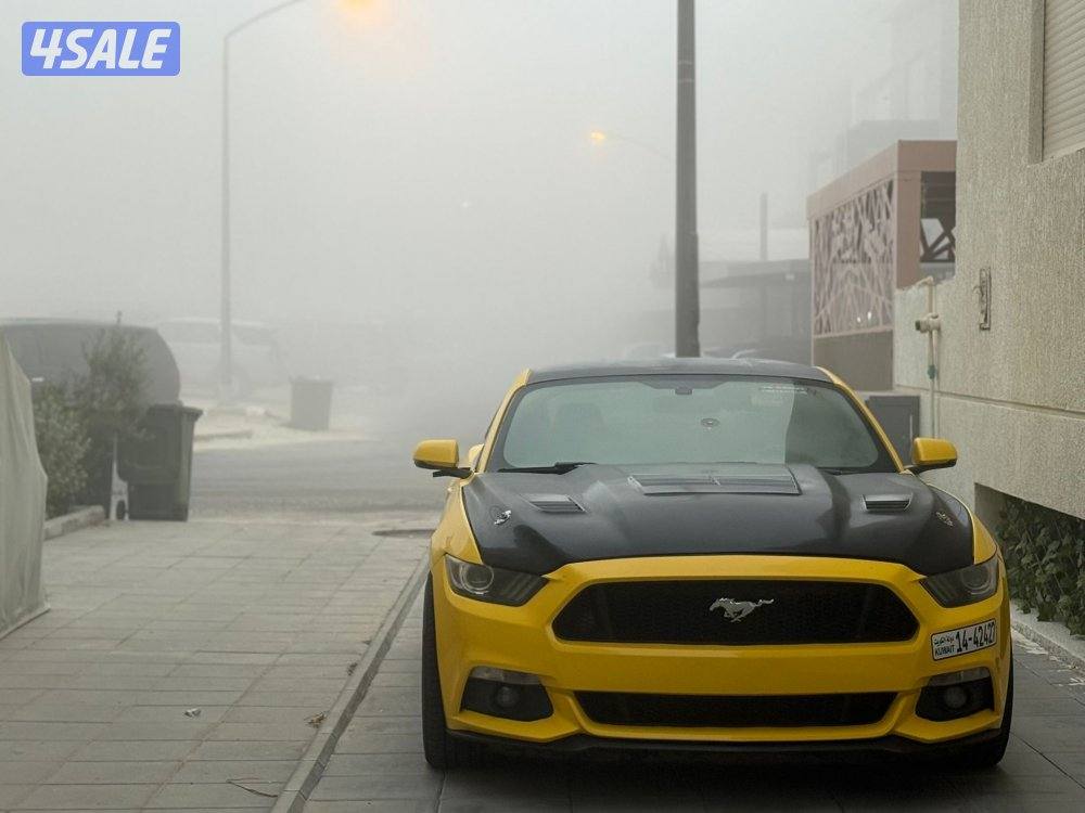 موستنق Premium 5.05