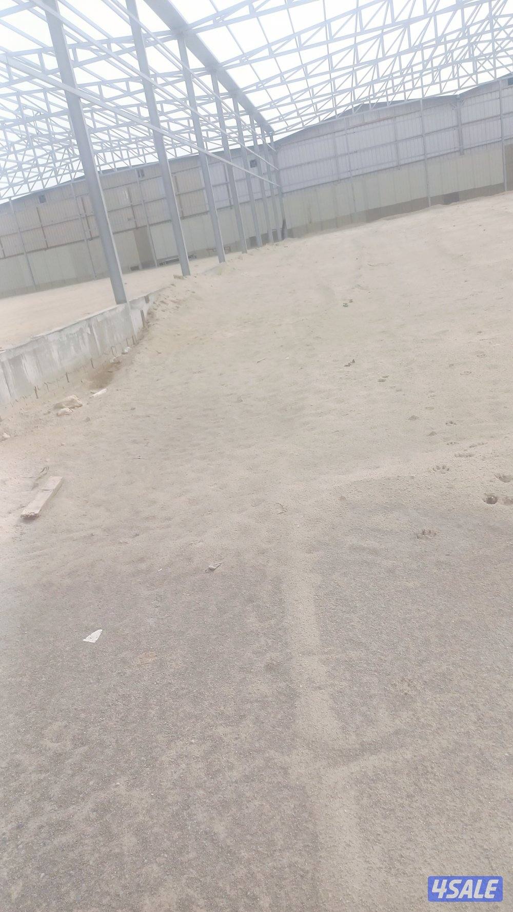 مخازن وسردابب للأيجار ( الري / الشويخ / الأحمدي )12