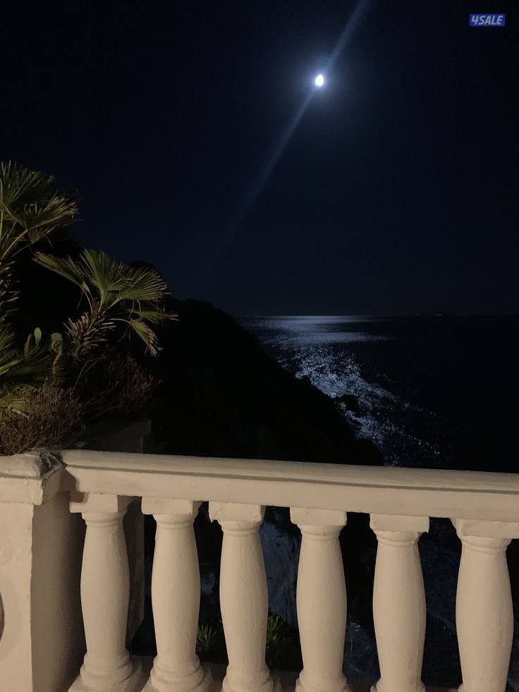 ابحث على عمل0