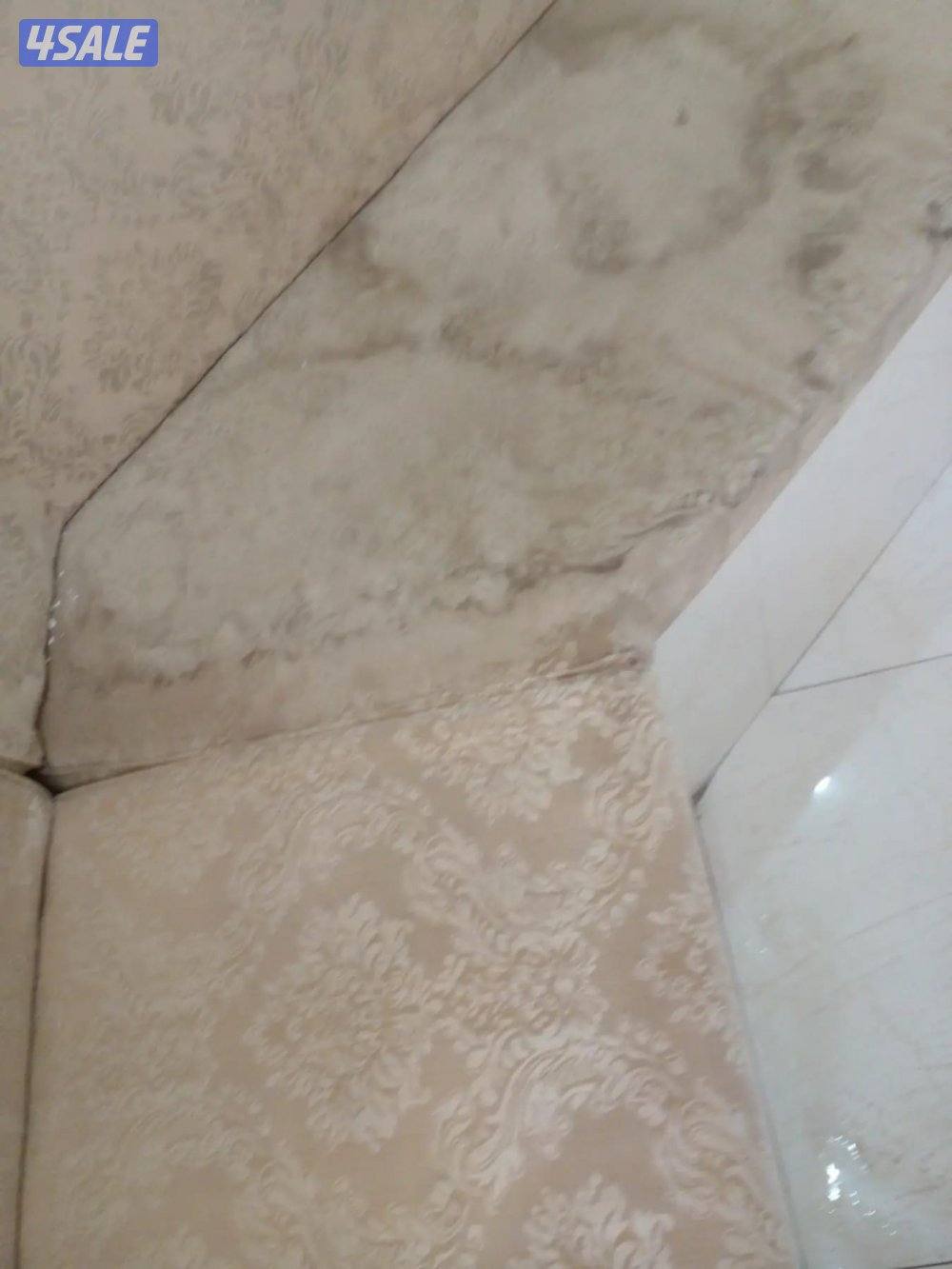 غسيل بالشامبو - تنظيف ناشف - غسيل سجاد برادي - يك7