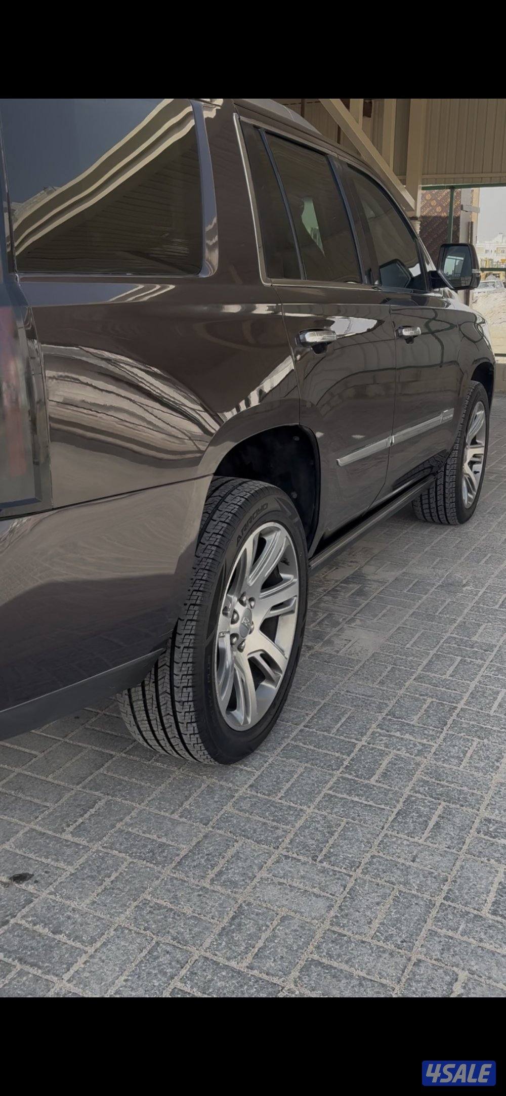 سكاليد 2015 بريميوم عداد قليل1