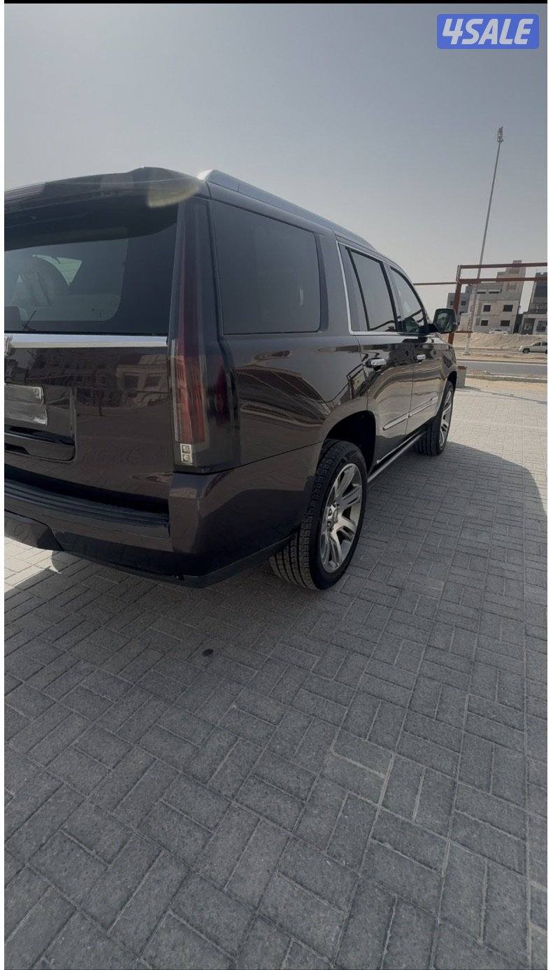 سكاليد 2015 بريميوم عداد قليل4