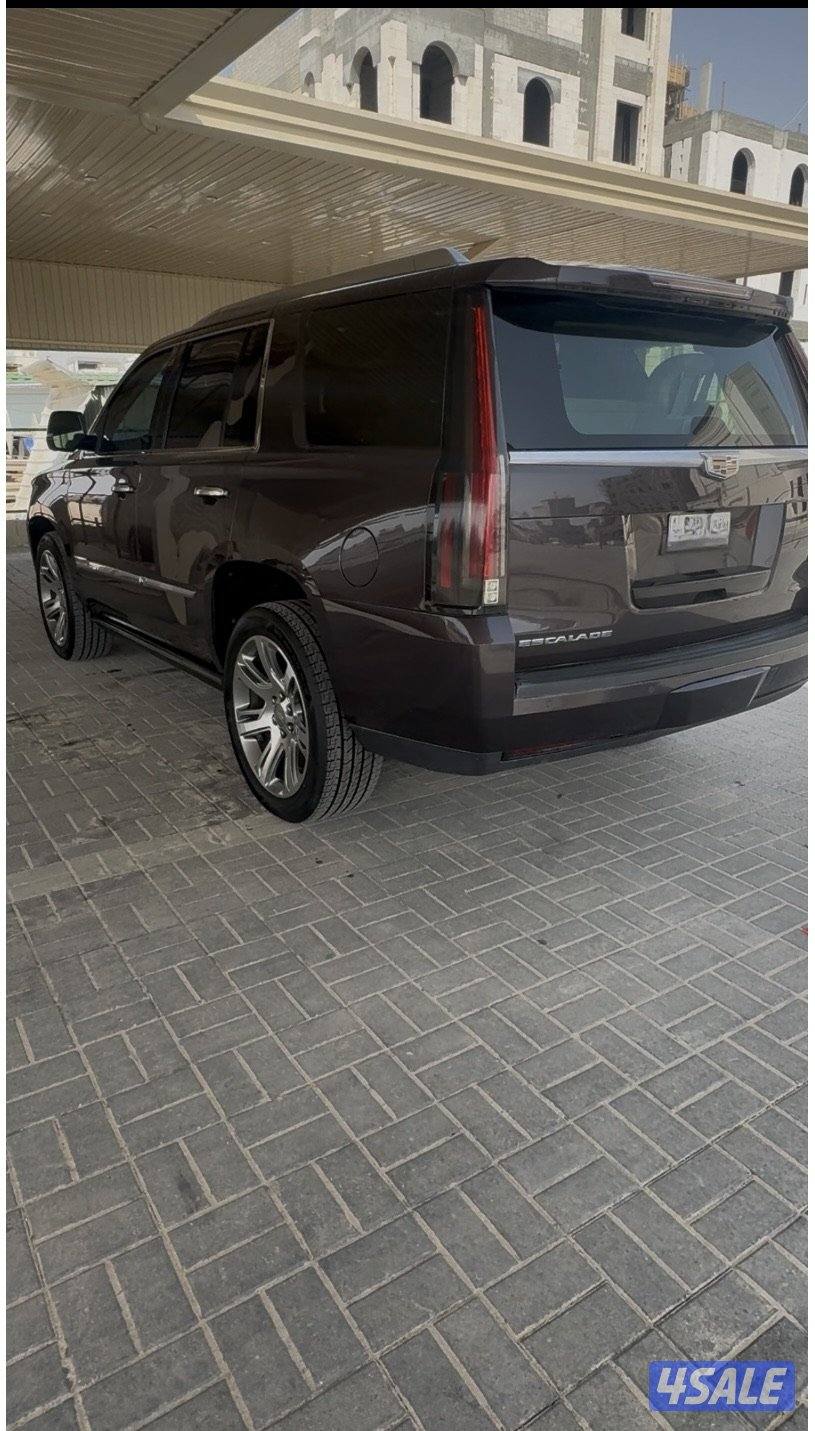 سكاليد 2015 بريميوم عداد قليل5