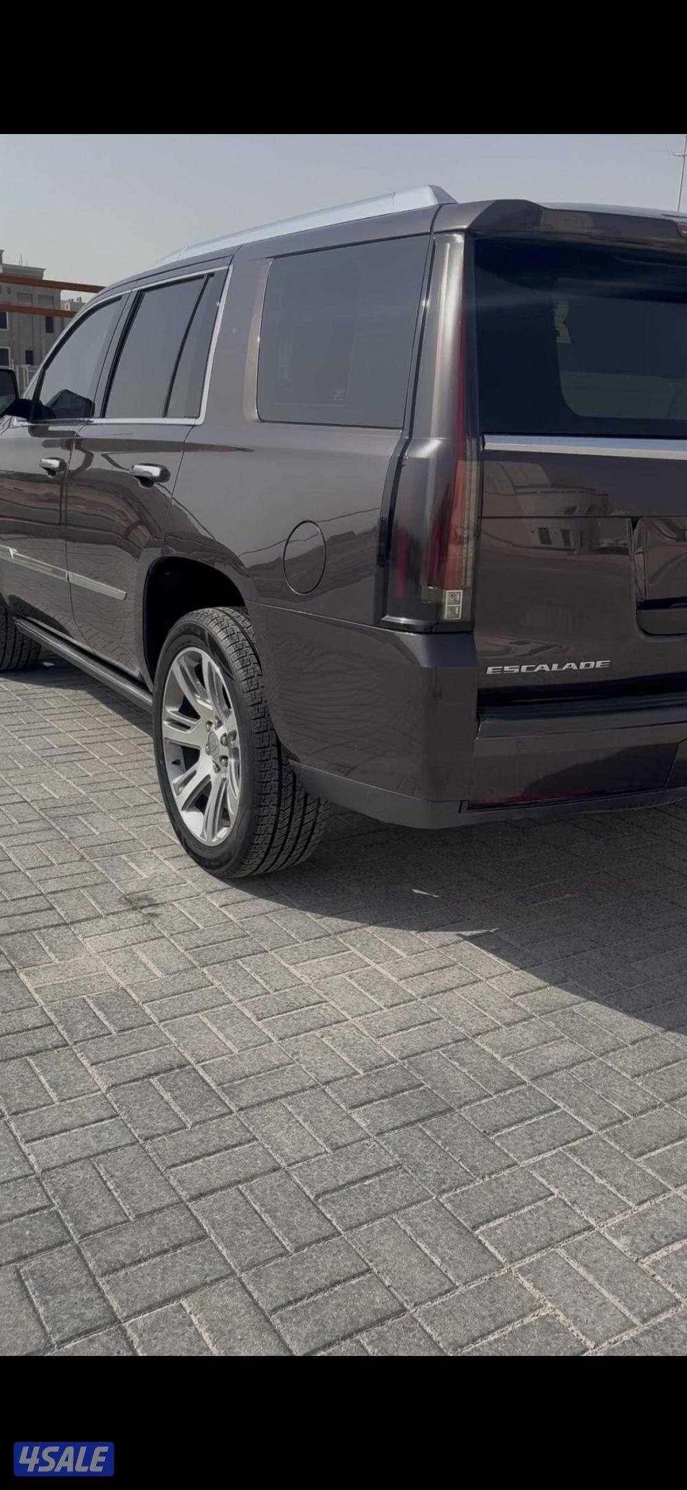 سكاليد 2015 بريميوم عداد قليل3