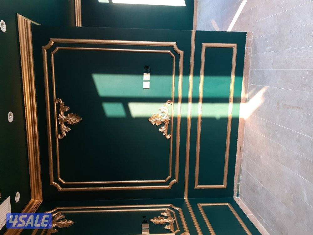 صباغ جبسم وبود باکستانی1