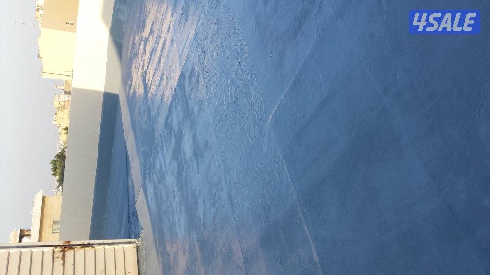 صباغ جبسم وبود باکستانی5