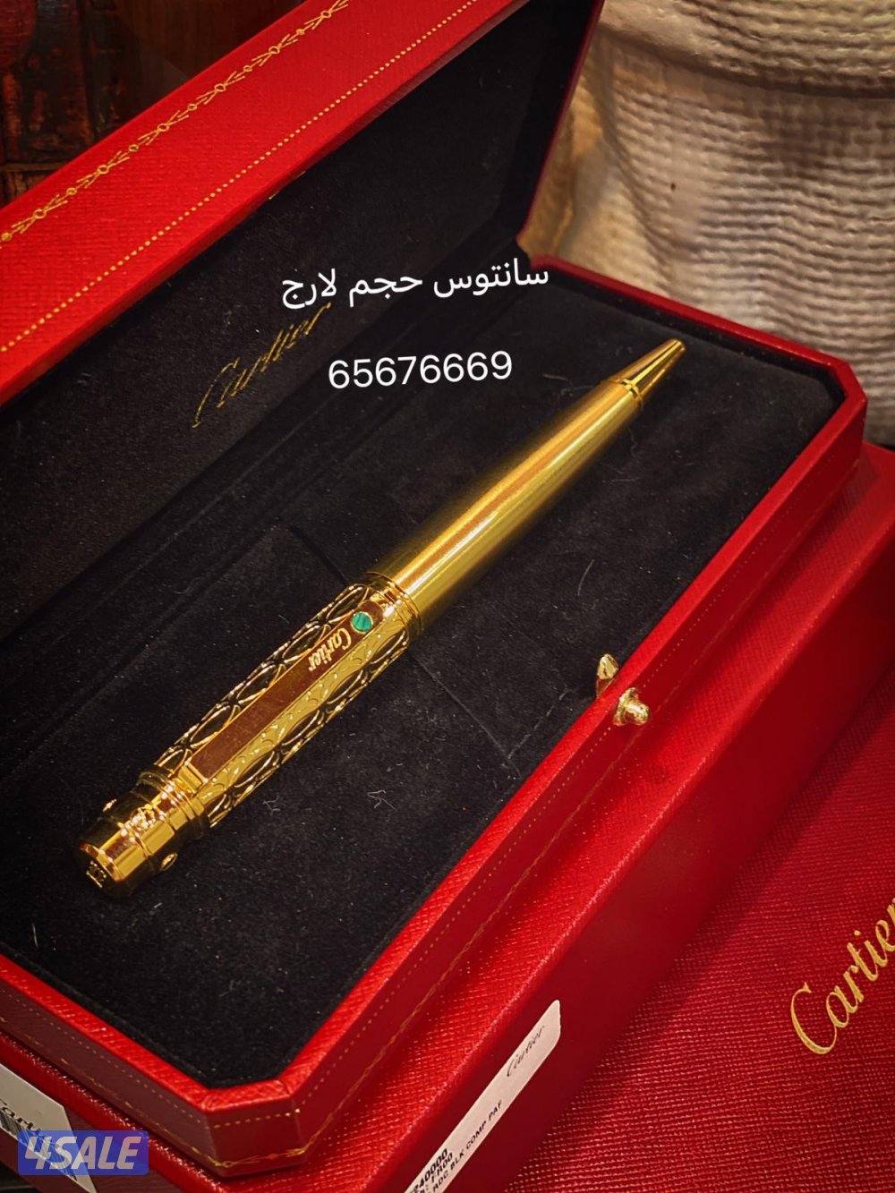 كارتير ديابلو8