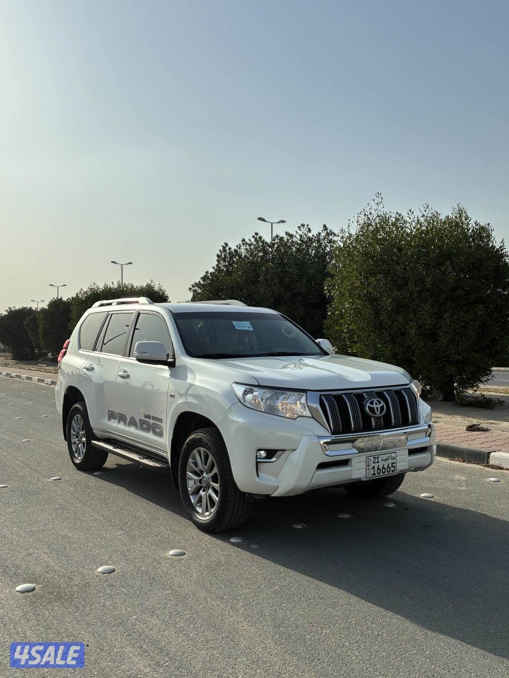 سياره بردو1