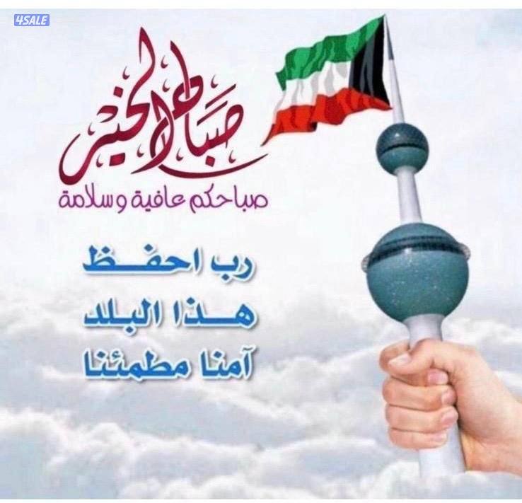 للايجار بابو فطيره  دور ارضى مدخل خاص  للايجار بالنيطيس  دور ارضى مدخل0