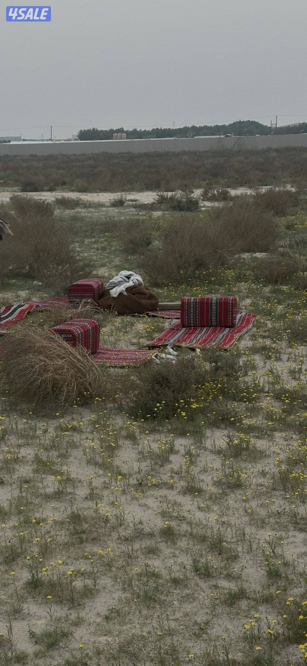 مزرعه للبيع في الوفره ٢٥ الف فضاء طريق ٥٠٠ بطن وظهر0